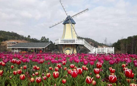 �_�r�_��Մ31헴�ʩ