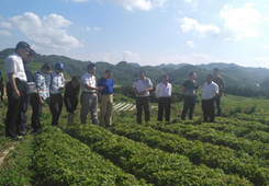 �ό����_��ͬ��Ͷ�Y��I(y��)�f(xi��)����ǭ��Ͷ�Y����