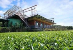 2018���{�ɰ�����W�ӹ���֮�ǽ����Ļ��w�I�_�I