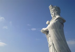 ��ǧ���_(t��i)���ű����V����ɳ���݋���