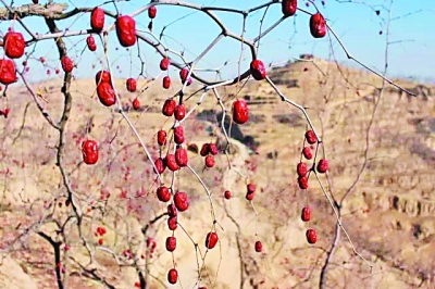 ���˗��r���ٿ��������_��W�W�����I�Fꠡ��r�����桱