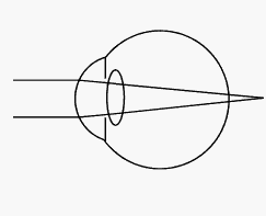 �ȸ��о��T����Magic Leap�����ֵ45�|��Ԫ