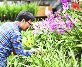 �_���m���������