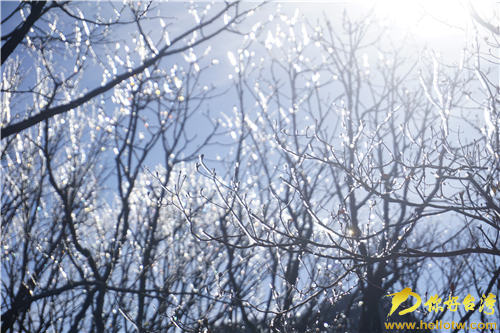 �����Sɽ�y�b�ع� ���g�ɾ����ɰ�ý�w�R�cٝ