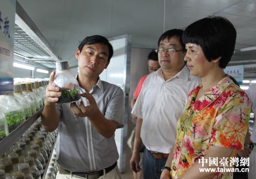 �����R��ɽ�����L�������{(di��o)���_�Y��I(y��)