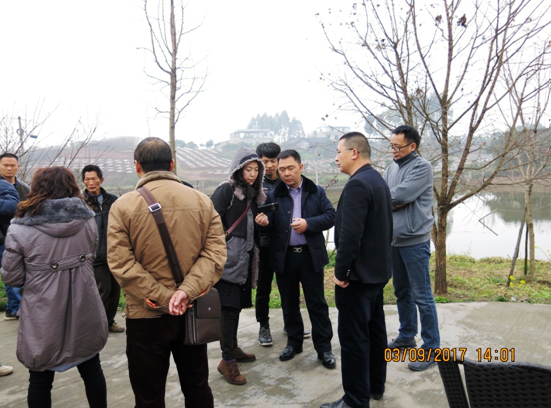 �Ĵ��½��_��(chu��ng)�@�_��������F(tu��n)���½��_չ�a(ch��n)�I(y��)ָ��(d��o)����