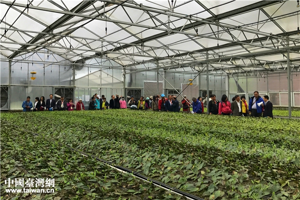 ���^���������ҡ����Ї��_���W �w���� �z��