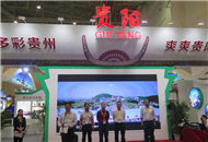 �F�(y��ng)���Ą�(chu��ng)�a(ch��n)Ʒ���ࡰ��ʮ�ú��{�ɰ��Ļ��a(ch��n)�I(y��)���[��(hu��)��