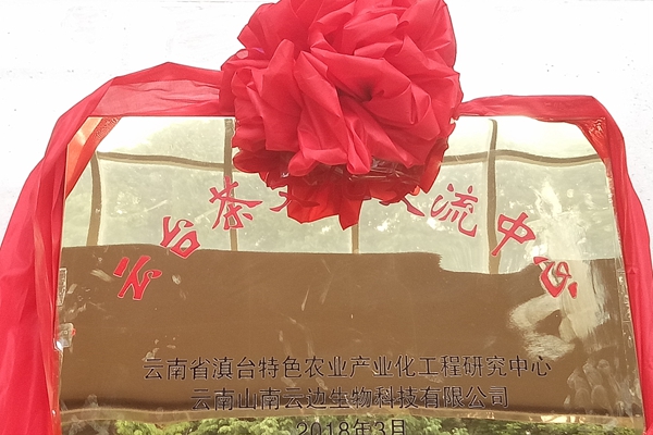 ���_(t��i)���Ļ����������������r(n��ng)�I(y��)��W(xu��)���_(t��i)���Ē��Ƴ���