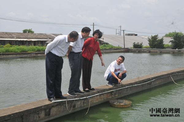 苻彩香副省長在宏福觀賞魚養(yǎng)殖場調研 苻彩香副省長在宏福觀賞魚養(yǎng)殖場調研