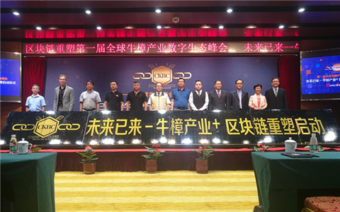 ��һ��ȫ��ţ���a(ch��n)�I(y��)��(sh��)�����B(t��i)���(hu��)�ھ����_(k��i)