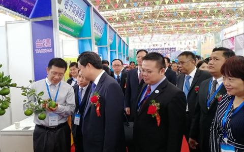 ��ʮһ���Ї�-�|�ˣ���ɫ���F���r�Iչʾ���ו��ڏV���e��