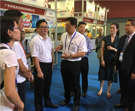 �_�����ꄓ�I��2017�V���_�������c