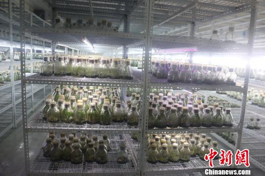 �_���ڏV�����I�����r���¸��aƷ���ږ|��