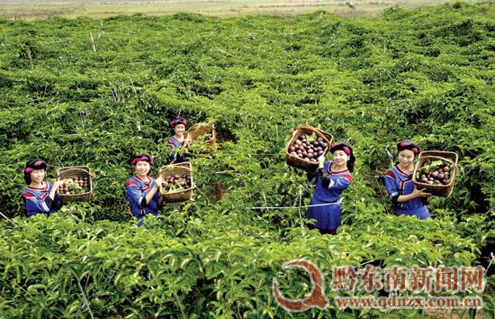 ���R�l�f�����������{���w�_��