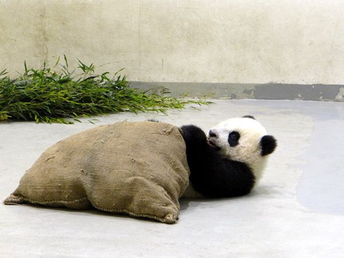 �_������؈�������A�С�������ߡ����^�������D��