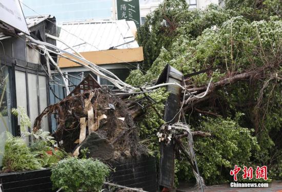 8��8�գ������(qi��ng)�_(t��i)�L(f��ng)���K���_�����_(t��i)���Q���K���ա�����ꑲ��S�󡰙M�����_(t��i)����ȫ�_(t��i)���ش��ܛ_��������8������1�r(sh��)30�֣�����6������4��ʧۙ��101���܂����D��һ�w��䱻�B������ <a target='_blank' ><p  align=