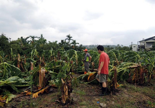 ���K���_�����_(t��i)���r(n��ng)�I(y��)�pʧ��(y��n)�ظ߹٣��M��l(f��)������