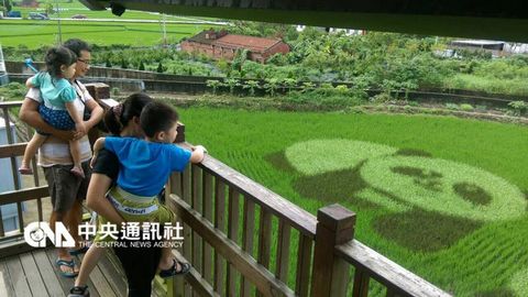 �������L���(�_���������硱�n����Ƭ)