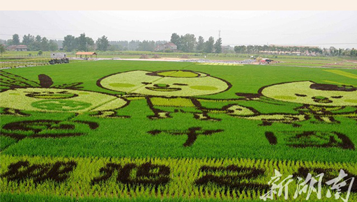 ���{�ɰ�������L�����^ɽ��Ļ ���͵�����L���d