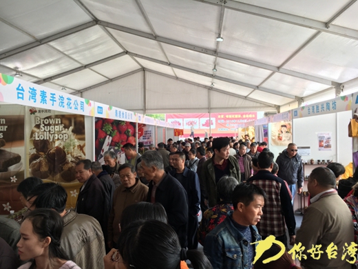 �˚ⳬ�����_���^