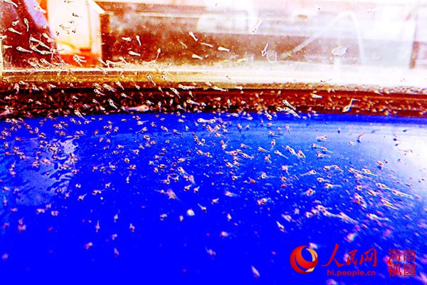  �^�p�~(y��)�~(y��)��.