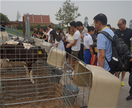 �����_�����M�������������Ї������������