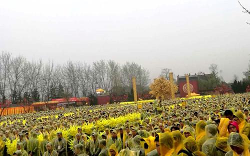 ���S�ӌO��������������S���������^��