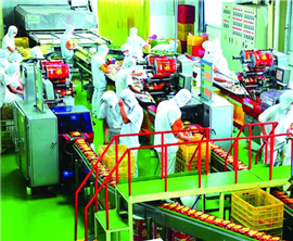 ���������x�_���۽�����Ј� Ͷ�Y3�|��Ԫ���l������