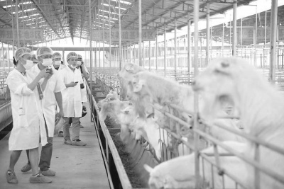 �����ϰ��_�Yţ���Bֳ�����u�̮aƷҲ�u�^��