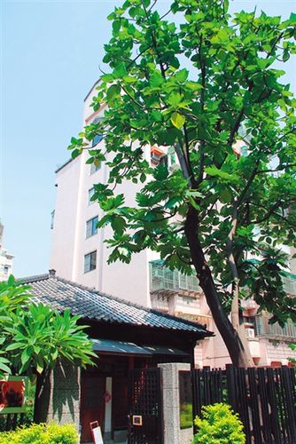 ����������һֱ�����Tǰ�@���������