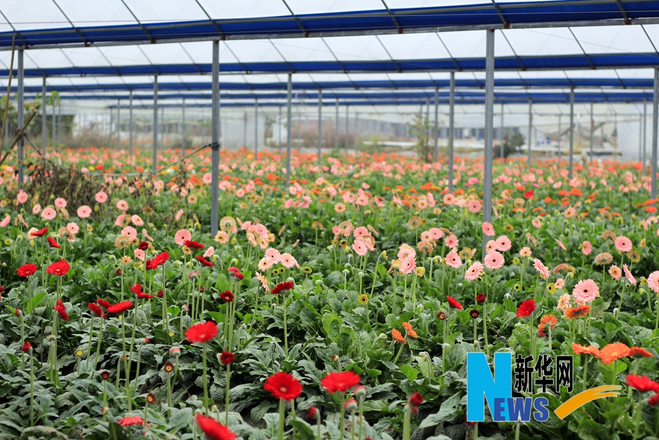 ���������}�_(t��i)�r(n��ng)�I(y��)�����Ӱ� �_(t��i)��(chu��ng)�@����¸���(j��ng)