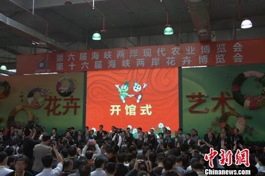 240����_��չ�ɰ��r(n��ng)������������