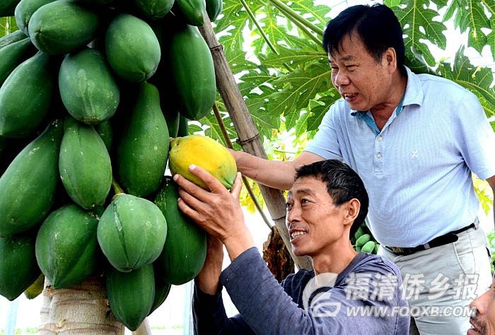 �����_���r(n��ng)��(chu��ng)�I(y��)�@�^(q��)�ƏV�_����(y��u)���߹�