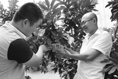 �޽��_(t��i)�r(n��ng)��(chu��ng)�⸣���gϪ����׃������Ԫ����