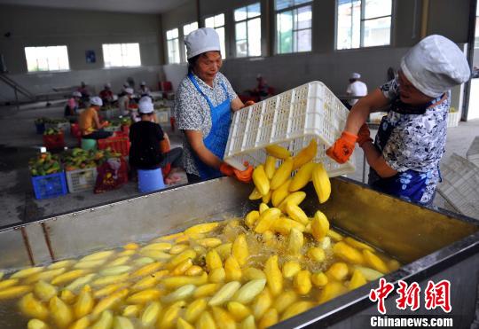 ��ɫ����ꖿh���M��I��â����ӹ���â���ɳ��������������ȇ��ҡ�����ε�塡�z