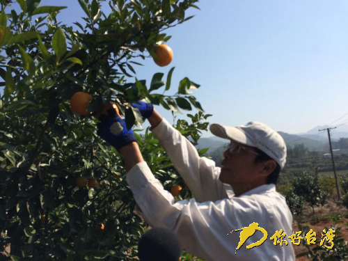 �_���мҴ�ꑸ��Ю��r��