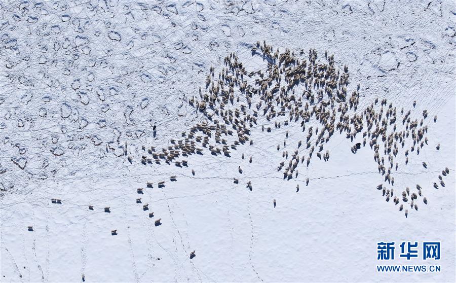 ���������2��ѩ��ļ�����ԭ