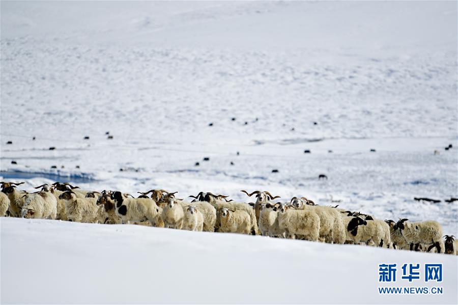 ���������3��ѩ��ļ�����ԭ