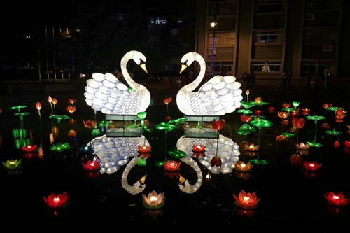 ��չ���M�����Z����