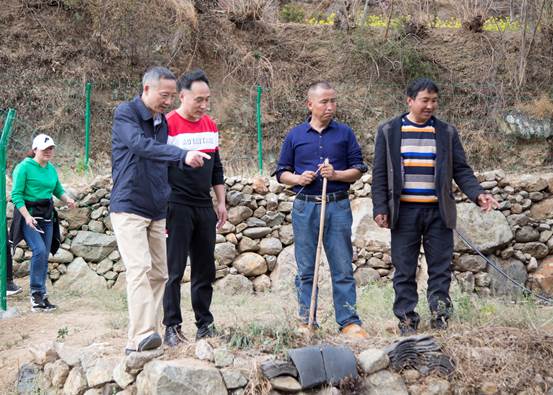 �f��: _19A0524