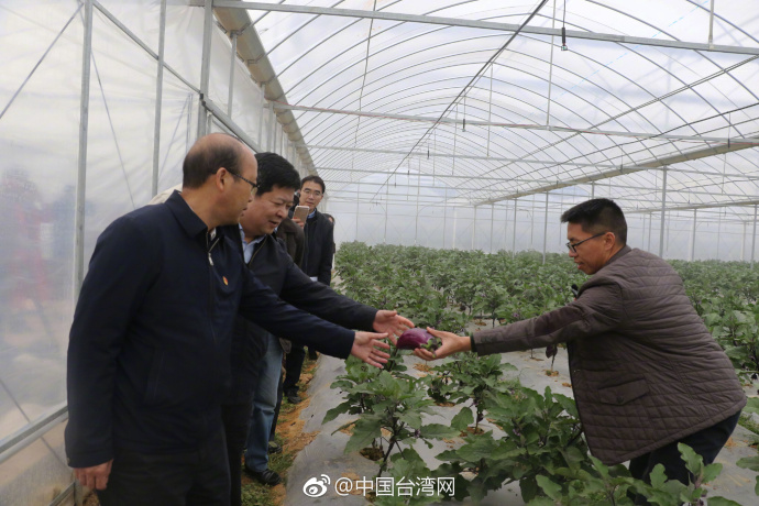 ���_�k�����������붨���{�� �δ�������Խ��Խ��