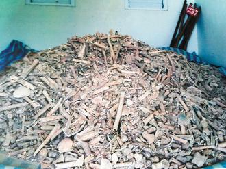 �_���l�F��ǧ�o���׹ǂ��������������xʿ���D��