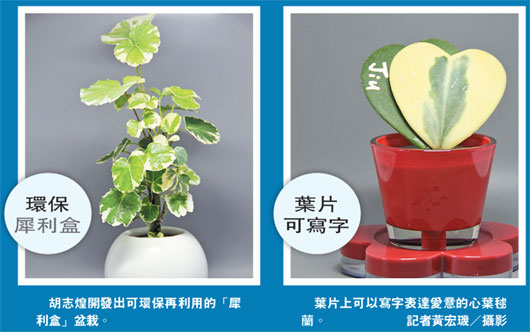 7��ʧ��12�f���_�Ҿ��̽K�аl���������ԣ��D��