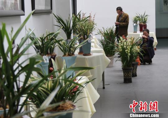 �_(t��i)���mչ25���ڏV�|혵�ꐴ廨�������Ļ��չ��500�����_(t��i)���m��