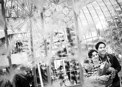 �N�����ű�����ζ��Խ�ɰ��ĵ�