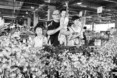 �_���ƏV���Ի����㡱��Ԫ�����D��