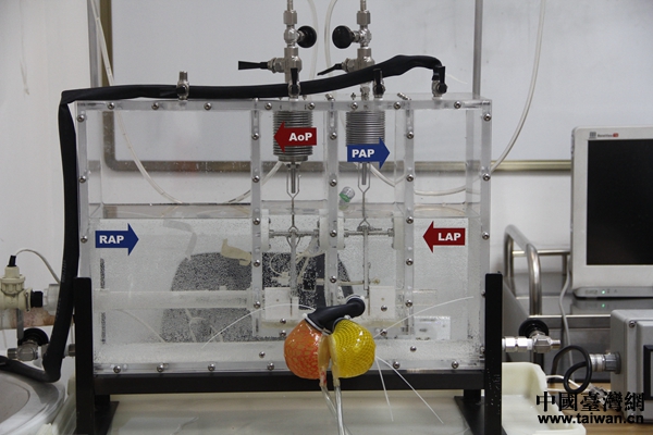 �P��ȫ�˹����Kģ�M�����