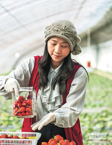 �_�r�δ���׼ҡ���ݮ�tԺ��Ժ�L