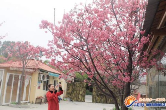 �_(t��i)���ѻ��ڏB�T��݈@ŭ�š��ɔzӰ��ِ����(�D)